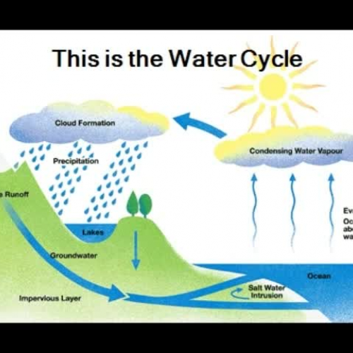 The Water Cycle