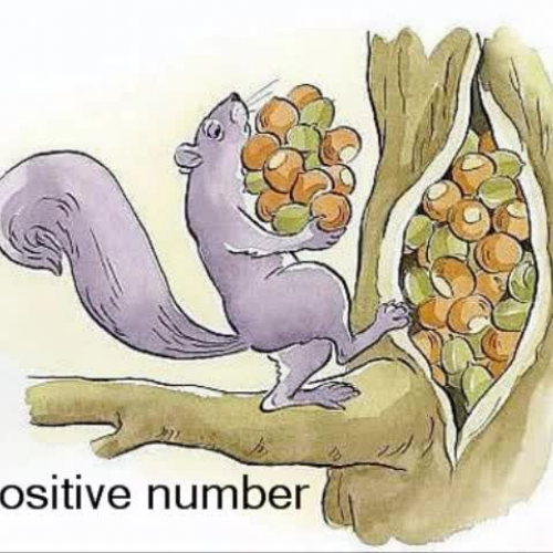 The Squirral and his Acorns