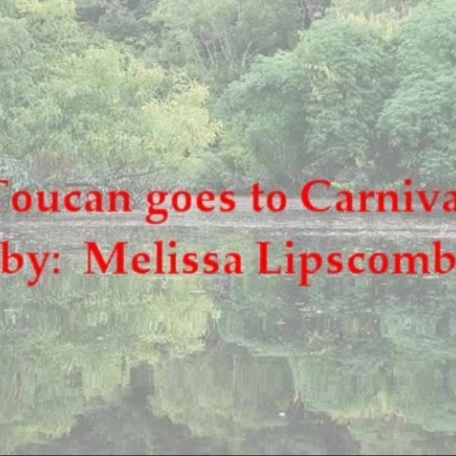 Toucan Goes to Carnival