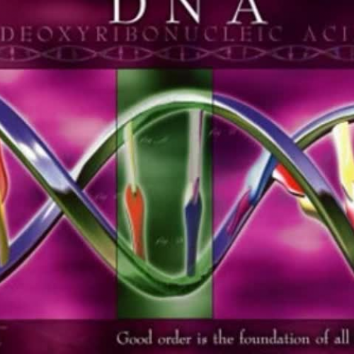 Reality Talk with DNA