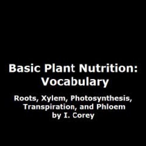 Basic Plant Nutrition Vocabulary
