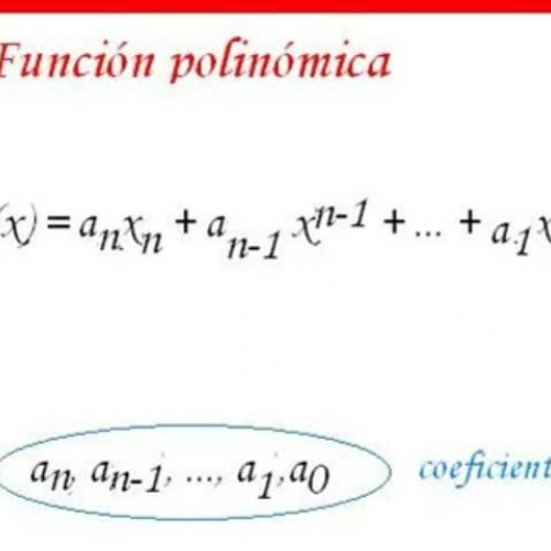 Funcion Polinomica