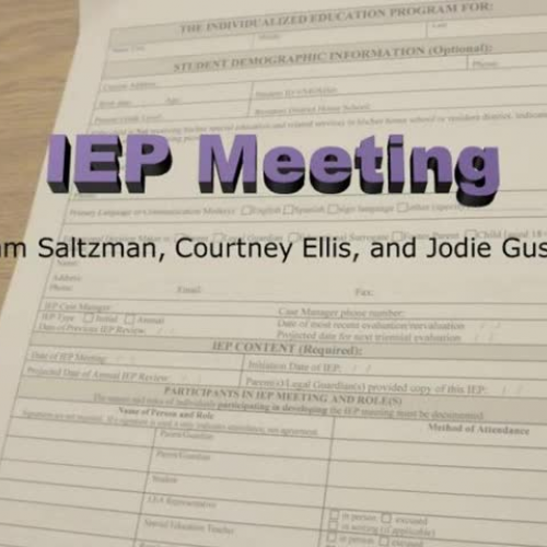 Mock IEP meeting