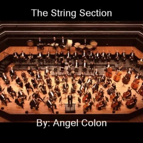 The String Section