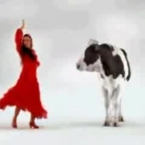 Flamenco Comercial