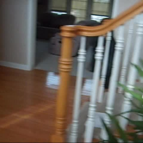 mrs. trulock maria dayton cribs