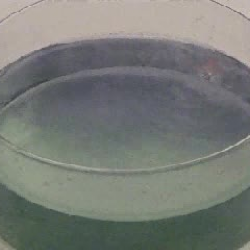 Lithium with water