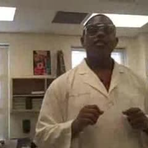 DNA Extraction - Dreamseeker Science Show