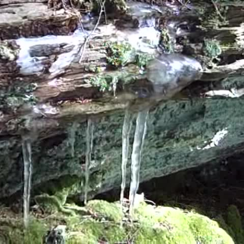 icicles