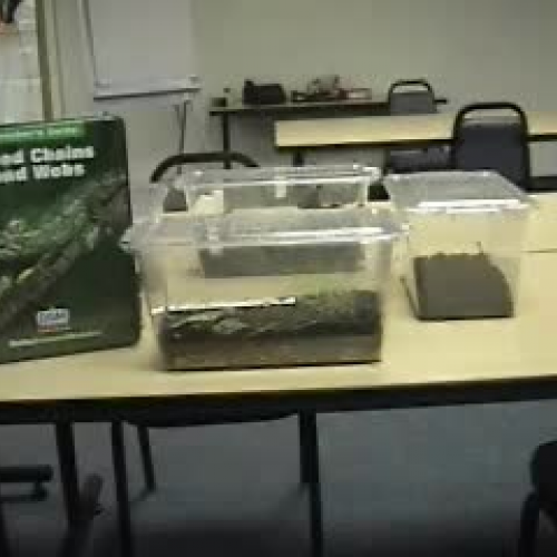 Food Chains and Webs_Greenhouse