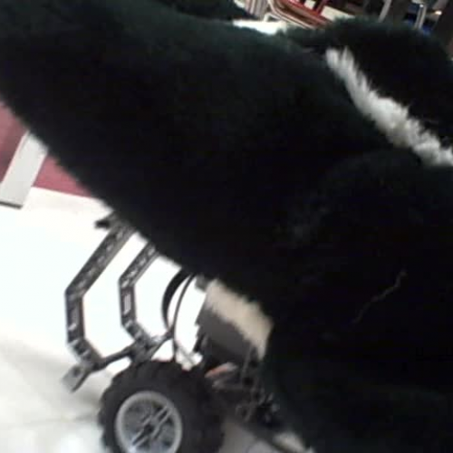 Robots NXT 2009 Compition Buckeye