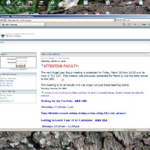 Enable the Button Bar in Angel Mail