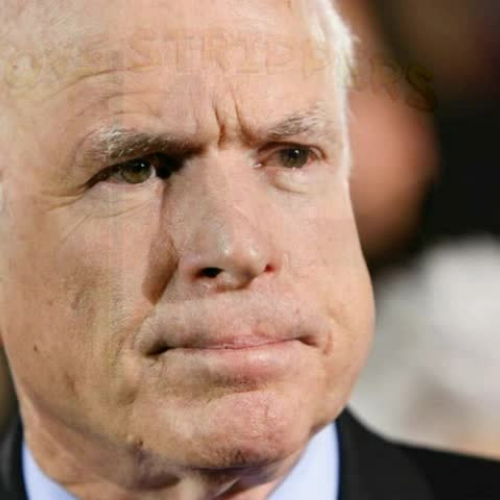 A Bite Out of Terrorism