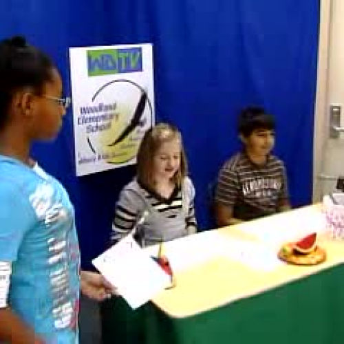 Learning with Technology at Woodland