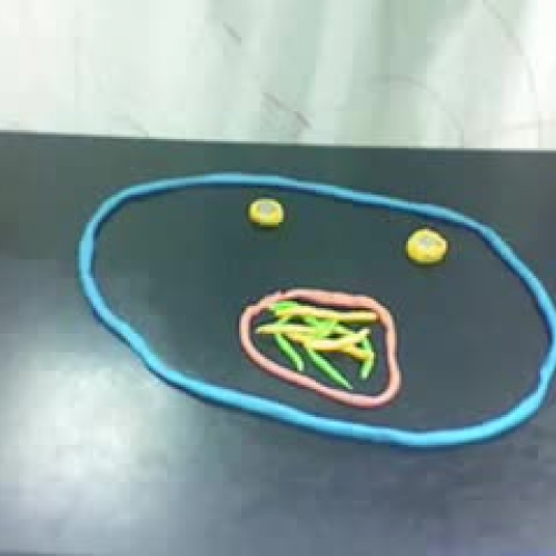 Cell Division Claymation Tyler Seth Devan