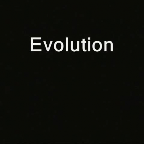 The Theory - A Rock Opera