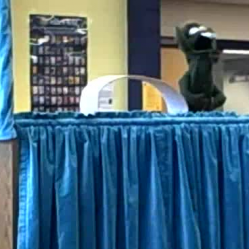 Puppet Show by Mrs. Allender