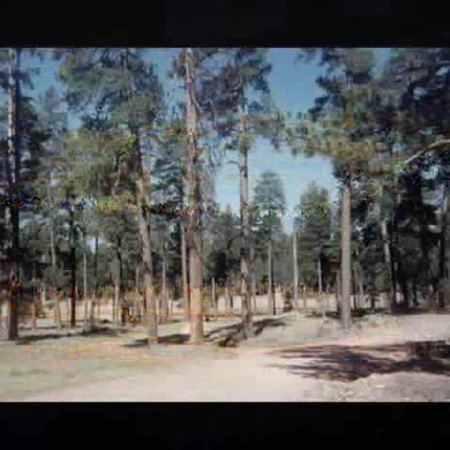 Forest Lakes Project