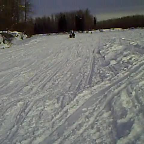 Iditarod 2009