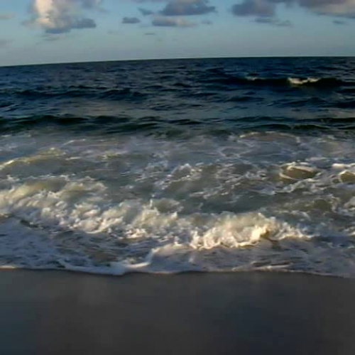 The Gulf of Mexico