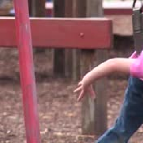 From Hatchery to Home Part 1 - Primary Versio