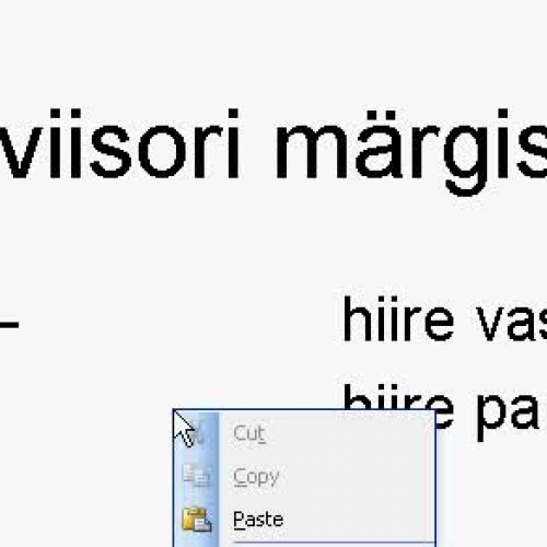 Ekraaniviisori m?rgis?steem
