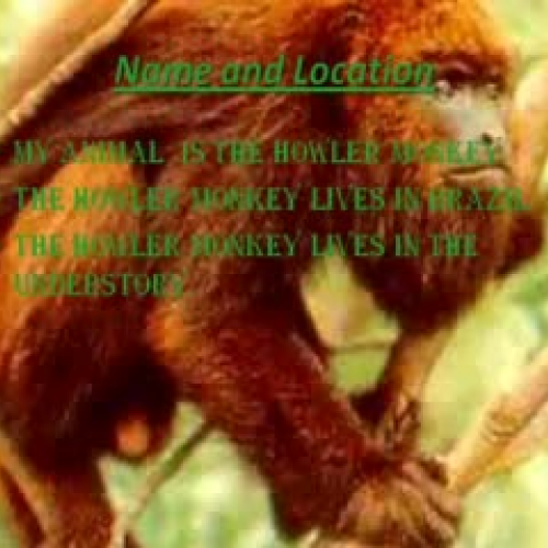 Howler Monkey BB