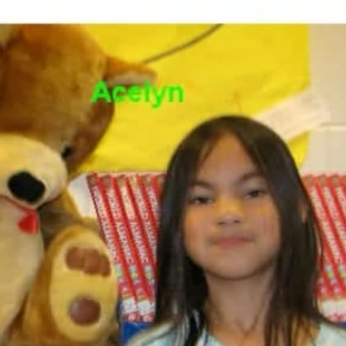 Shapes in the Library