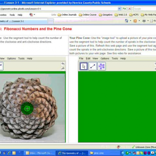 Fibonacci Numbers and the Pine Cone