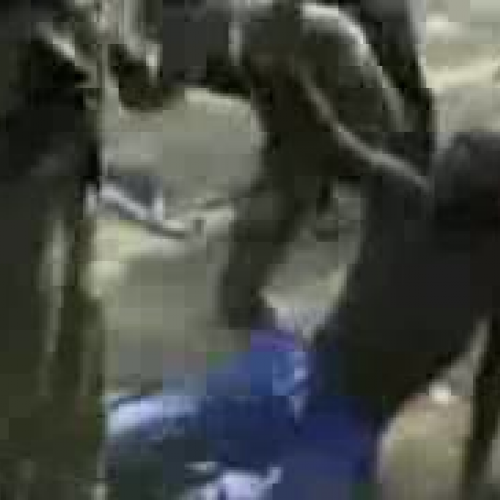 Sierra Leone Civil War Project