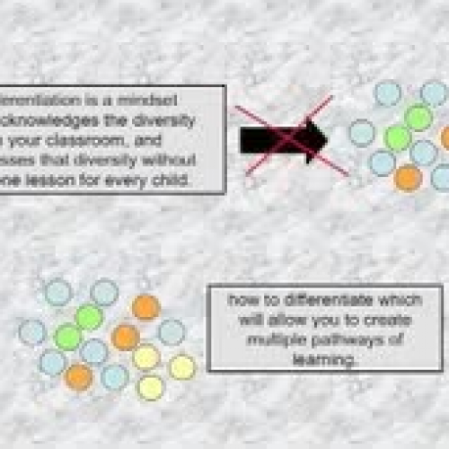 Differentiation at IS 339