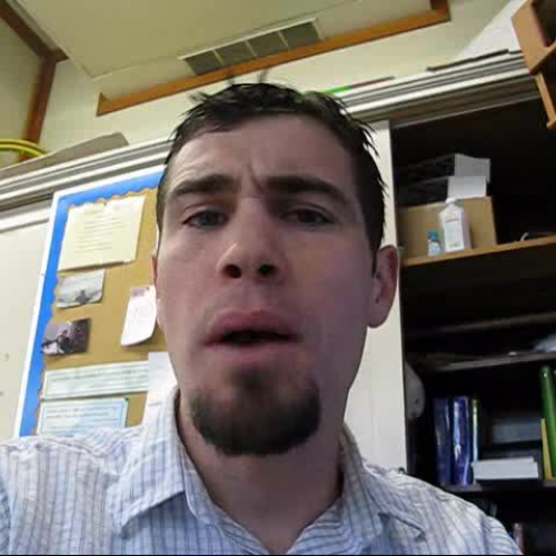 Book Report 2 1WL 2009