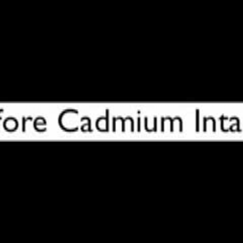 PSA Cadmium