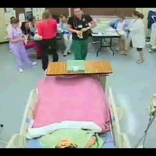 Complete Heart Block Simulation