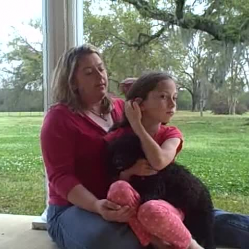 All About Me  Denise Hart