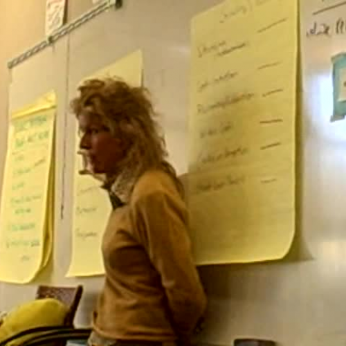 Mary E Staff Developer