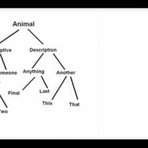 Graphical to Written Dichotomous Key