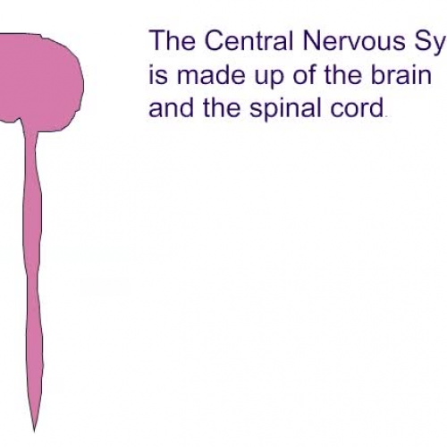 Neural Control of Movement