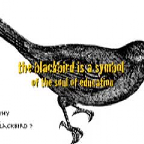 Releasing The Blackbird - teacher inquiry