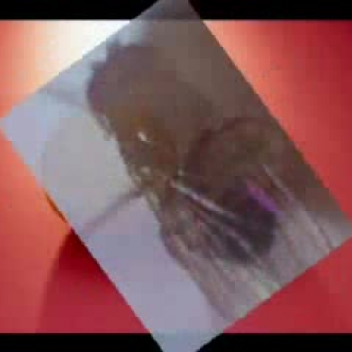 Kira and Sydney - Fly Movie