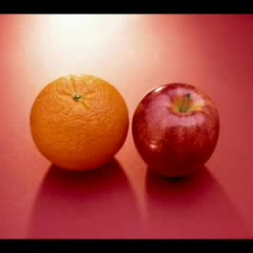 Tim and James - Fly Movie