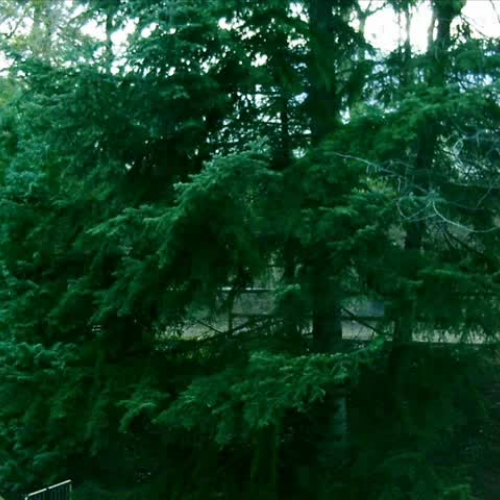 Class II E - This is where we placed feeder a