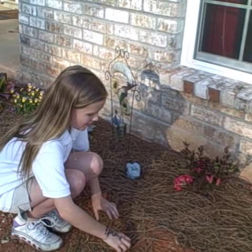 A Kid Tells How to Save the Planet