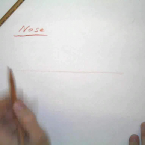 How to Draw a Nose