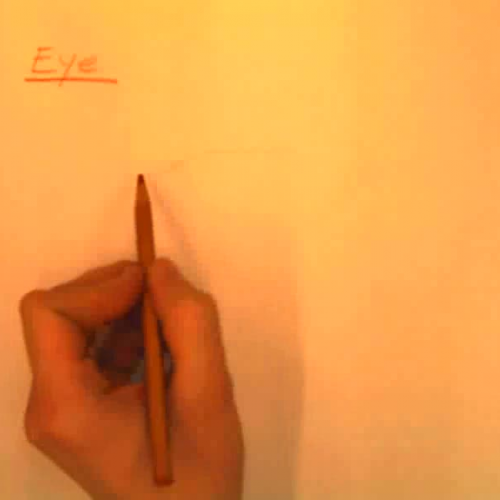 How to Draw an Eye