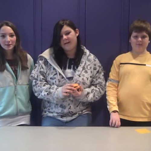 Student Created TV Commercials