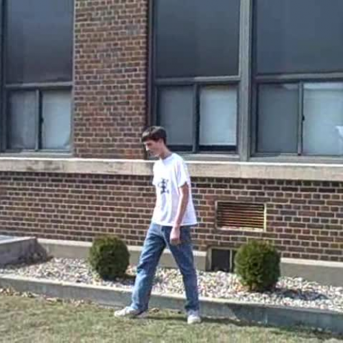 The Lady or the Tiger