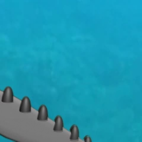 From the Sea to the Sky