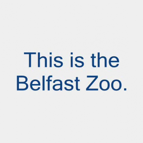 St Therese - Zoo anna and cuisle