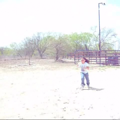 Why is the Sun Important